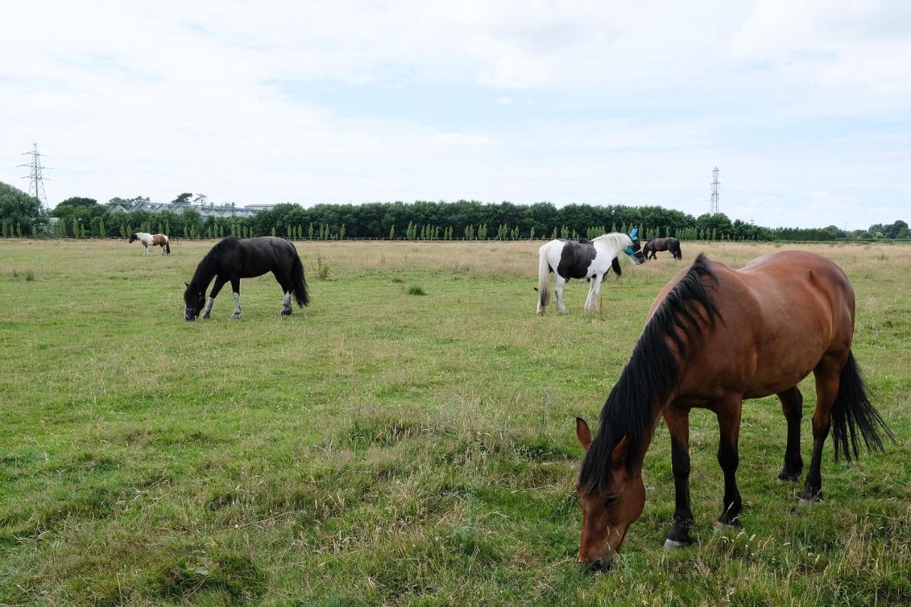 Willowbrook Riding Centre Чичестер Экстерьер фото